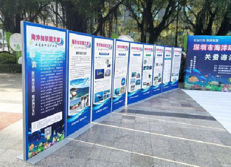 永顺KT板的种类和知识。